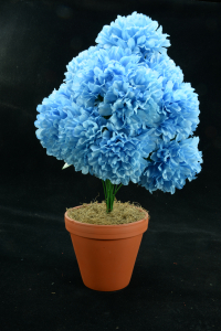 Blue Carnation-Mum Bush x12  (Lot of 1) SALE ITEM
